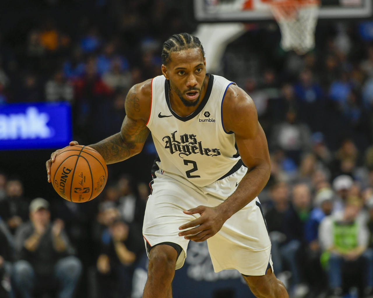 他职业生涯 他职业生涯